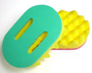 Cleaning Sponge (With Holder)